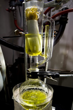 Soxhlet Extractor - photo by Alan Wright